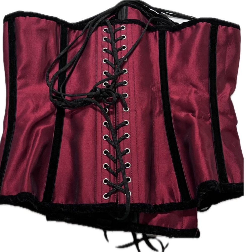 Hips and Curves Plus Size Corset